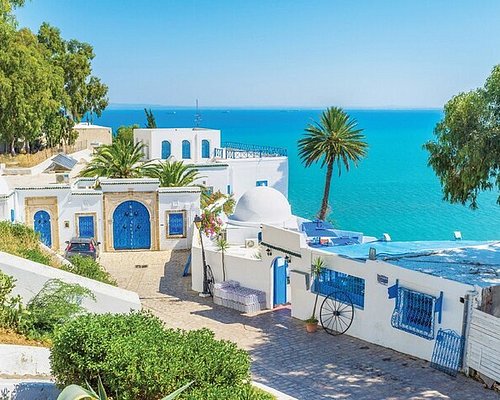 Que faire autour de Sidi Bou Saïd ? Les incontournables à découvrir